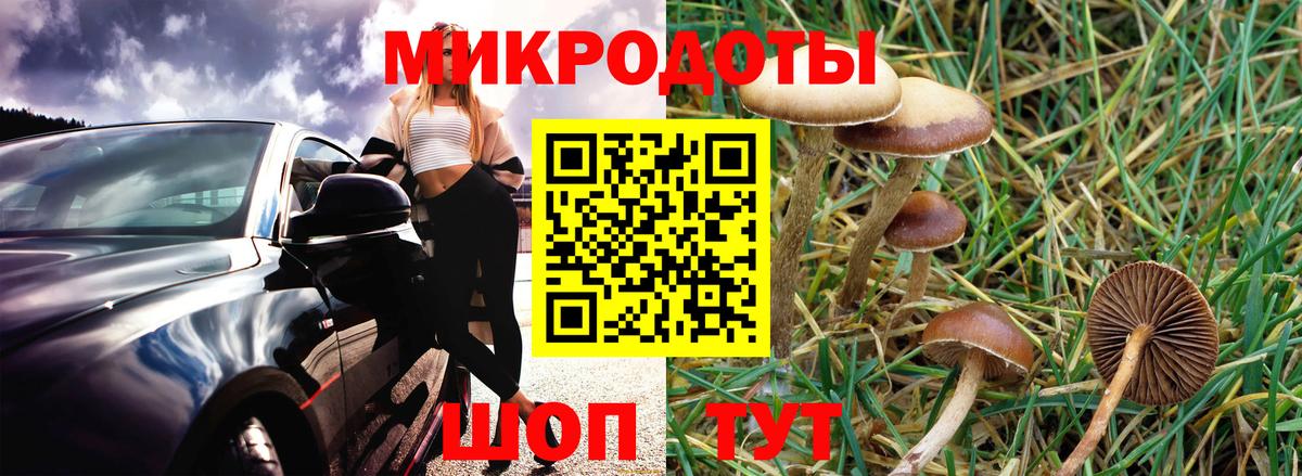 Галлюциногенные грибы мухоморы  Вход с VPN  Бугуруслан 