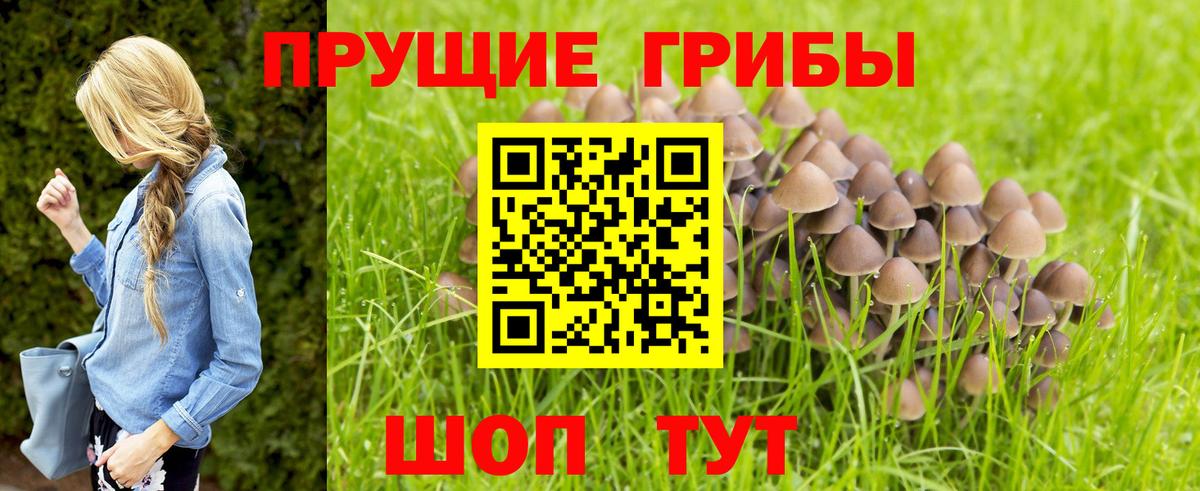 Галлюциногенные грибы Magic Shrooms Бугуруслан